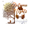 Autumn Nights and Moonlight