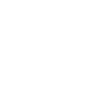 Pretty little flyer