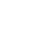 Wok Cooking Pan