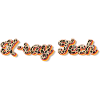 X ray Tech