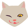 Cat Face Funny