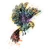 ornamental bird