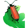 Micro Marvels
