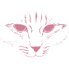 Cat Face