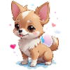 Charming Chihuahua Chic