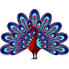 Peacock Burgundy