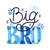 Big Bro