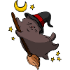 Cute Kittens The Broom