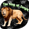 The King of Jungle