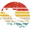 Surfer Sunset Retro Stripes