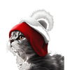 cat and hat