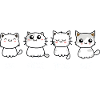 Un Deux Trois Cat