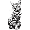 Cat Black and White