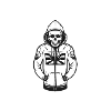 ULTRAS PASSION