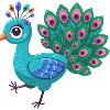 Majestic Peacock Display