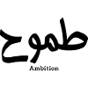 Ambition in arabic calligraphy
