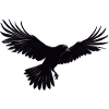 Raven