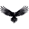 Raven