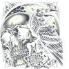 Lunar Raven's Vigil