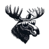 Moose head wear glasses cool