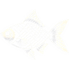 White Fish 3
