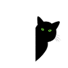 black and white cat