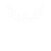 Bat Halloween Bats Silhouette