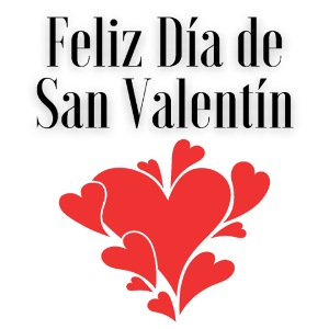 Fashion Happy Valentine's Day Celebrating February
