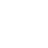 animal skull