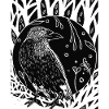 Black and White Raven