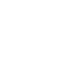 Lunar fox