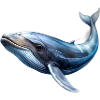 Whale
