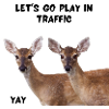 Risky Deer