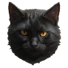 black cat face