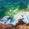 rock shore and waves