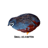 Small as a Button Quail