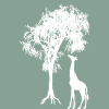 Giraffe Tree Silhouette Nature