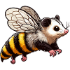 Bumble Opossum