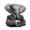 elephant in suit
