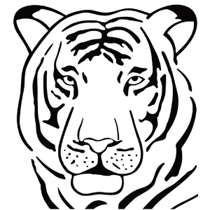 Shirts, mugs, and all tiger animal souvenirs, Live