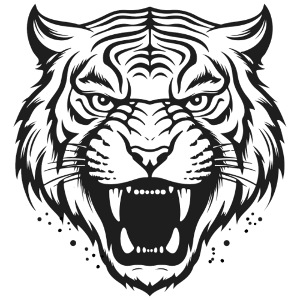 Wild Tiger Fashion, the fury of the feline tiger.