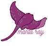 lovely manta ray