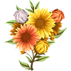 Sunflower Seeds