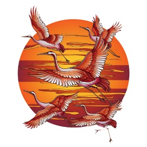 Japanese Cranes Migrating: Travel & Journey