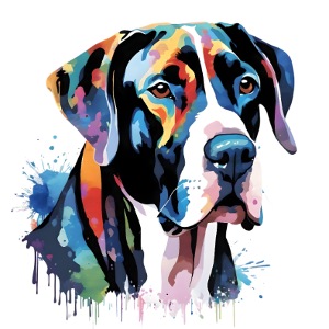Tank - the Great Dane