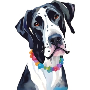 Tank - Great Dane
