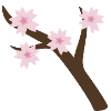 sakura branch