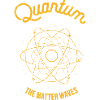 Quantum - The Matter Waves
