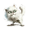 Funny Cat