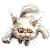 Funny Cat
